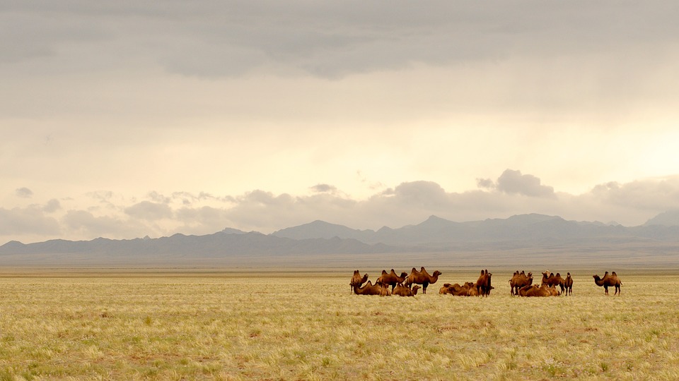 Mongolia.jpg
